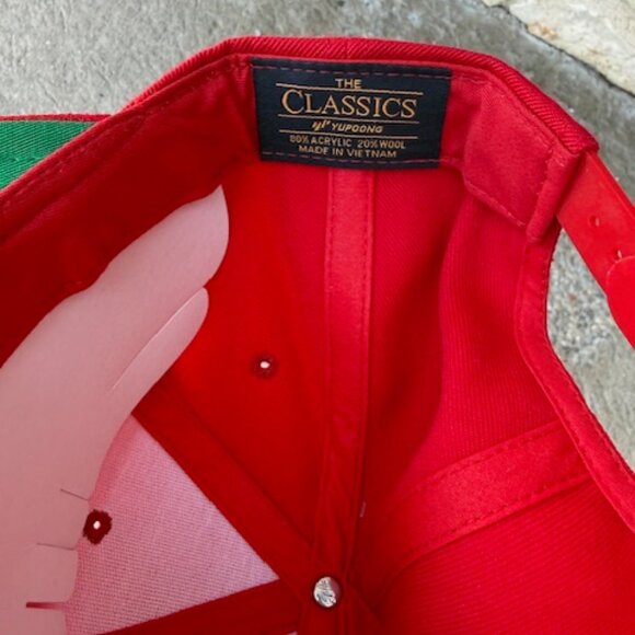 detroit pistons bad boys 313 hat new - Picture 5 of 5